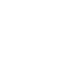 Sport Cruiser
